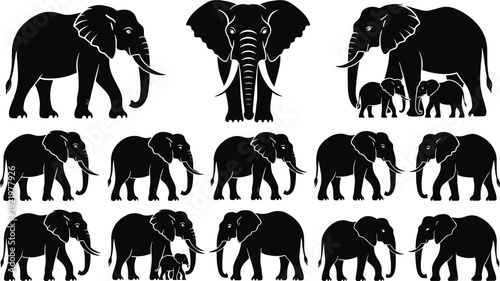 Elephant silhouette collection featuring African elephants and calf isolated on white background for wildlife vector illustration, logo design, stencil and branding