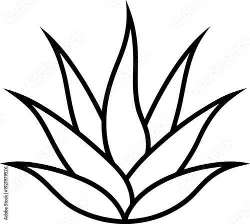 Aloe Vera Succulent Botanical Line Art Illustration