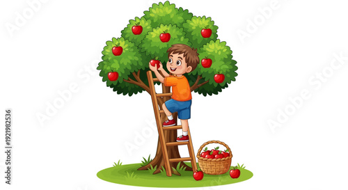 A young boy picking apples from a tree using a ladder in an orchard scene