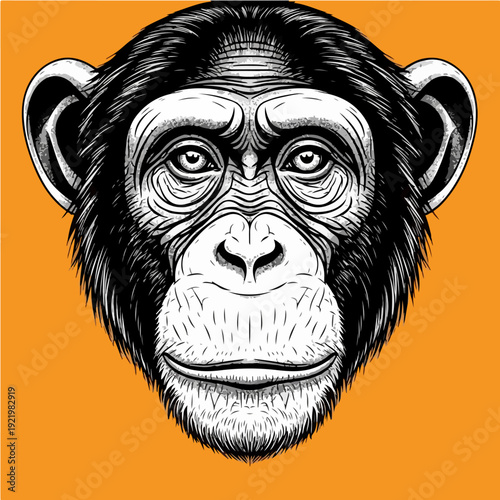 Detailed illustration of a chimpanzee face with intense gaze and focus.