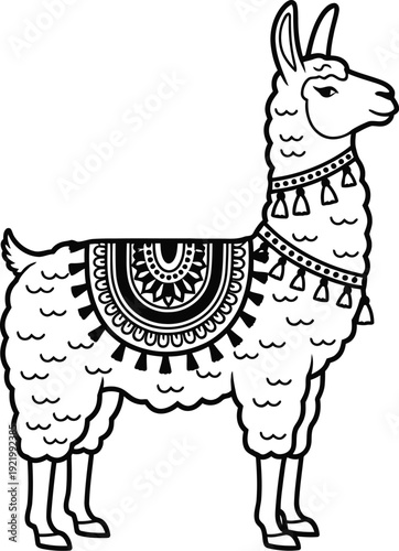 Llama wearing a decorative saddle blanket and collar 