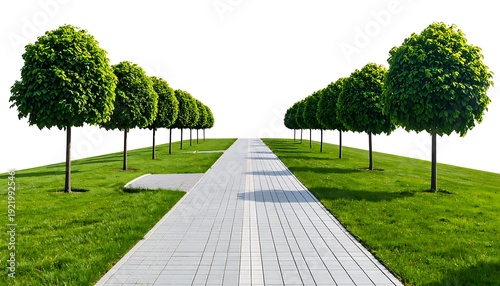 Symmetrical view of a tiled pathway bordered by trimmed trees and green grass against a white backdrop
