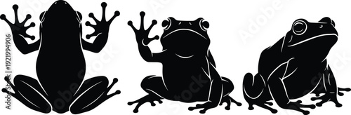 Frog silhouette collection featuring front, side, and sitting poses isolated on white background for wildlife, amphibian, and nature design concepts