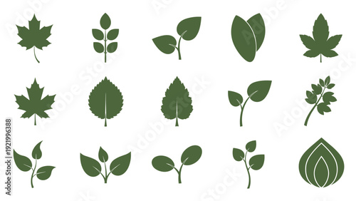 Collection of various green leaf icons in different shapes and species representing nature botany and environment.