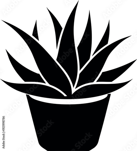 Aloe vera plant silhouette illustration for clean modern botanical graphic design projects.