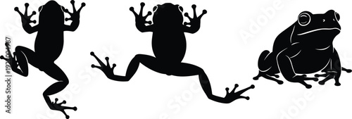 Black silhouette set of three frogs, isolated vector illustration of amphibian tree frog poses, wild toad graphic elements, animal logo symbols for nature design projects