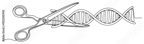 Scissors cutting DNA helix for gene editing and biotechnology research concept in line art
