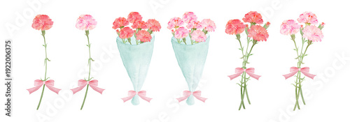 Photos Watercolor carnation flower bouquets and single stems set, floral gift elements