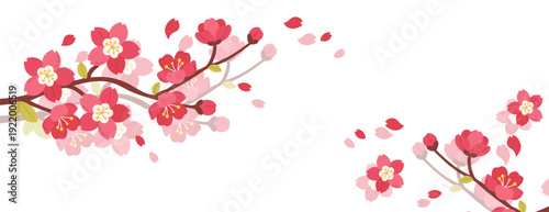 Beautiful spring background with lush blooming sakura branches and floating petals. Soft  floral composition with copy space for greetings, wedding invites, and seasonal sales.