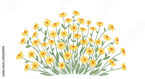 A vibrant cluster of yellow daisy-like flowers with green stems and leaves blooming gracefully across a clean white background.
