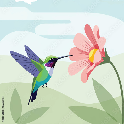 Hummingbird Feeding from Pink Flower Illustration.