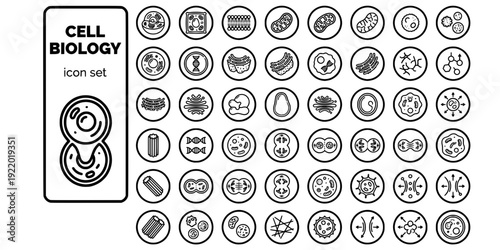 Cell Biology Bold Line Icons-Animal Cell Plant Cell Mitochondria Nucleus DNA Golgi Ribosome Vacuole Mitosis-30 Cell Biology Icon Set Vector - Biology Icons