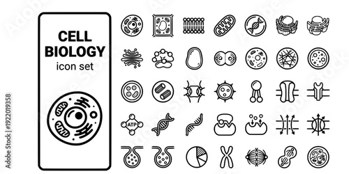 Cell Biology Bold Line Icons-Animal Cell Plant Cell Mitochondria Nucleus DNA Golgi Ribosome Vacuole Mitosis-30 Cell Biology Icon Set Vector - Biology Icons