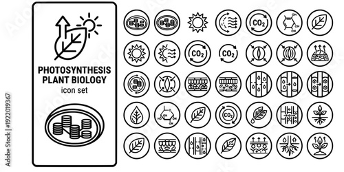 Photosynthesis Plant Biology Bold Line Icons-Chloroplast Light Reaction Calvin Cycle Glucose Stomata Xylem Phloem Leaf-25 Photosynthesis Icon Set Vector - Plant Biology Icons