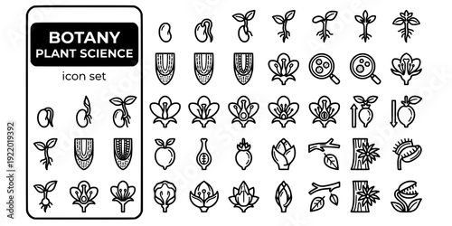 Botany Plant Science Bold Line Icons-Seed Germination Root Meristem Flower Pollen Fruit Auxin Dormancy Deciduous-25 Botany Icon Set Vector - Plant Science Icons