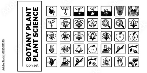 Botany Plant Science Bold Line Icons-Seed Germination Root Meristem Flower Pollen Fruit Auxin Dormancy Deciduous-25 Botany Icon Set Vector - Plant Science Icons