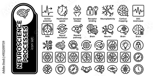 Neuroscience Processes Bold Line Icons-Action Potential Myelination Synapse Vesicle Receptor Neuroplasticity EEG fMRI Neural Oscillation-25 Neuroscience Icon Set Vector - Brain Process Icons