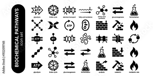 Biochemical Pathways Bold Line Icons-Glycolysis Krebs Cycle Electron Transport Fatty Acid Amino Acid Gluconeogenesis Fermentation-20 Biochemical Pathways Icon Set Vector - Metabolism Icons