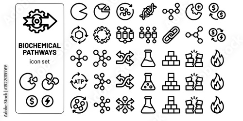Biochemical Pathways Bold Line Icons-Glycolysis Krebs Cycle Electron Transport Fatty Acid Amino Acid Gluconeogenesis Fermentation-20 Biochemical Pathways Icon Set Vector - Metabolism Icons
