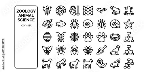 Zoology Animal Science Bold Line Icons-Vertebrate Invertebrate Mammal Reptile Amphibian Bird Fish Arthropod Mollusk Echinoderm-25 Zoology Icon Set Vector - Animal Kingdom Icons