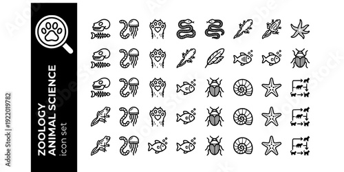 Zoology Animal Science Bold Line Icons-Vertebrate Invertebrate Mammal Reptile Amphibian Bird Fish Arthropod Mollusk Echinoderm-25 Zoology Icon Set Vector - Animal Kingdom Icons