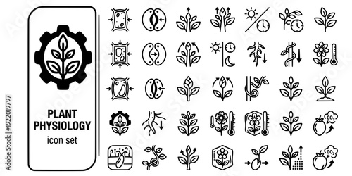 Plant Physiology Bold Line Icons-Turgor Pressure Guard Cell Apical Dominance Photoperiodism Gravitropism Thigmotropism Vernalization Auxin-20 Plant Physiology Icon Set Vector - Botanical Science Icons
