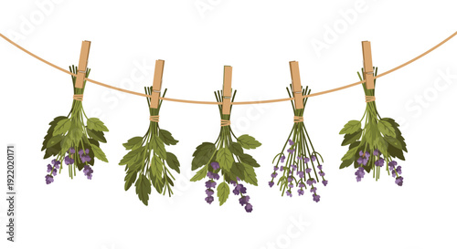 Five bunches of various herbs featuring vibrant purple flowers are secured with string and wooden clothespins, hanging from a clothesline on a plain white background.