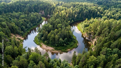 Aerial drone shot of winding river curve in lush green forest landscape. Scenic nature wilderness background with water and trees. Top down travel outdoor summer environment.