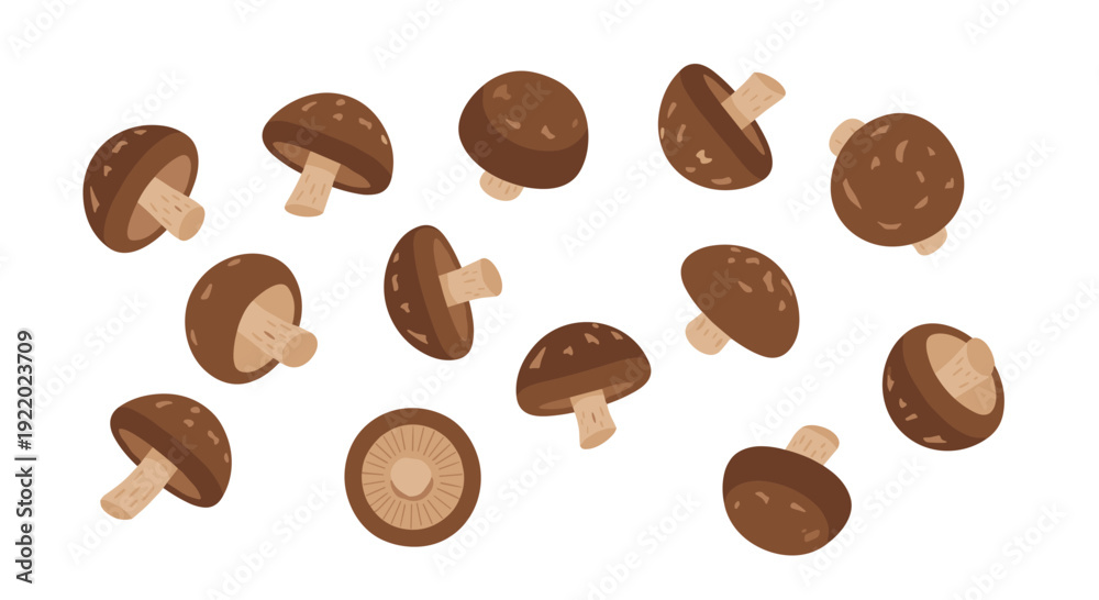 Fototapeta premium A collection of various brown shiitake mushrooms with different orientations are randomly scattered across a clean white surface.