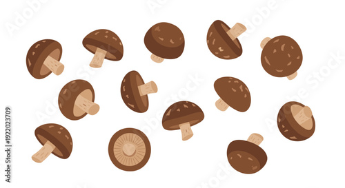A collection of various brown shiitake mushrooms with different orientations are randomly scattered across a clean white surface.