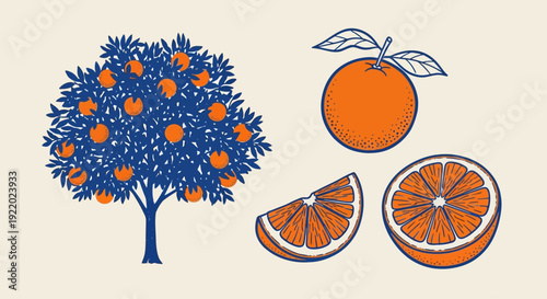 An illustration of an orange tree with oranges and slices, showcasing vibrant fruit and foliage from a straightforward viewpoint