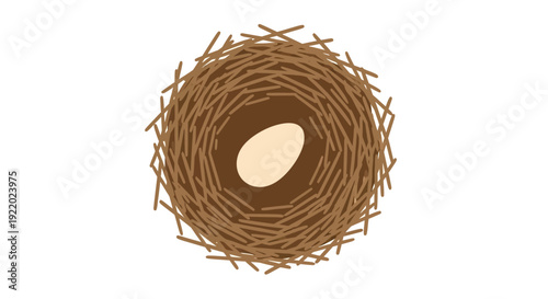 A bird's nest with an egg inside viewed from directly above in a natural setting