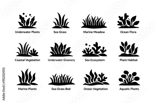 Silhouette icons of underwater vegetation and marine plants