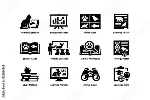 Educational animal icons and learning materials collection