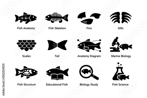 Fish anatomy and biology diagrams with illustrations of scales, fins, and gills