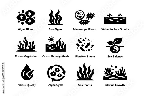 Aquatic ecosystem icons depicting algae, plants, and water cycle processes
