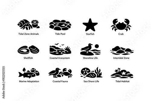 Coastal ecosystem icons illustrating marine life and tidal zones