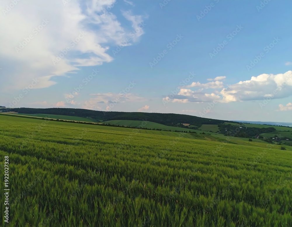 Obraz premium A vibrant shot of a sunlit field, its textured green stretching towards rolling hills and a bright, partly cloudy blue sky