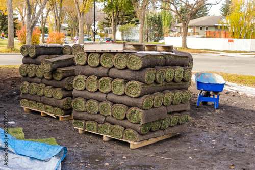 Pallets of sod rolls on landscaping work site