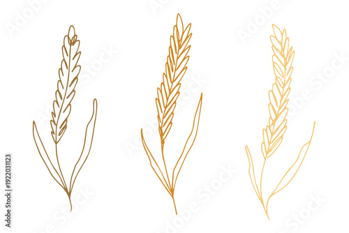 Set of hand drawn cereal wheat oat rye barley rice ears spikelet clipart Organic wheat bread agriculture farming harvest healthy food Single element for design print packaging label decor