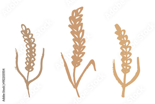 Set of hand drawn cereal wheat oat rye barley rice ears spikelet clipart Organic wheat bread agriculture farming harvest healthy food Single element for design print packaging label decor