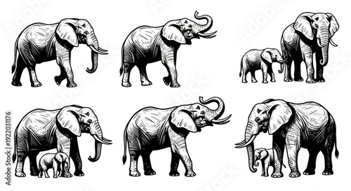 Elephant Family Illustration Set: Mother and Baby Elephants, Sketch Style