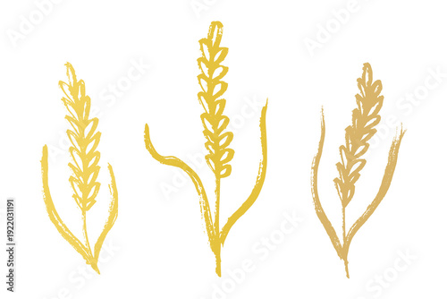 Set of hand drawn cereal wheat oat rye barley rice ears spikelet clipart Organic wheat bread agriculture farming harvest healthy food Single element for design print packaging label decor