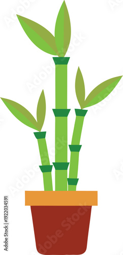 Lucky bamboo potted plant illustration for natural home decor designs.