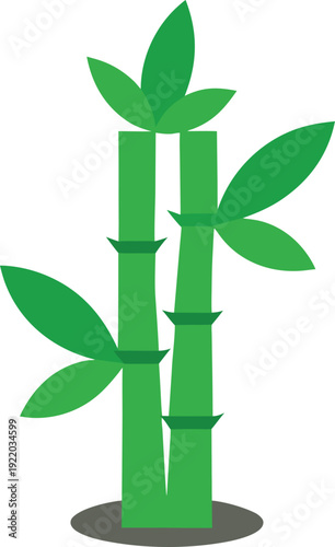 Lucky Bamboo Plant Illustration for Eco Themed Design