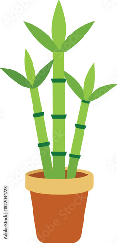 Lucky bamboo potted plant illustration for home decor