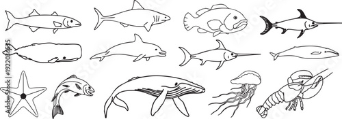 Hand-drawn marine animal outline set featuring fish and ocean creatures. Clean minimalist sea life illustrations ideal for educational and creative projects. Perfect for posters, patterns, 
