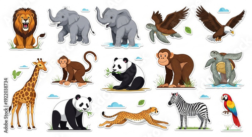 Wild animals safari creatures zoo illustrations various beasts