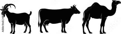 Farm animal silhouette illustration set, goat cow and camel black shapes for agriculture, livestock farming, rural life design, vector artwork collection