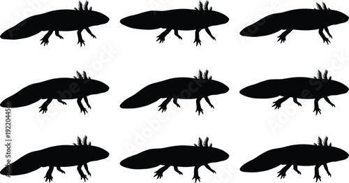 Set of axolotl silhouette icons collection, black amphibian vector illustrations, cute salamander shapes for wildlife design, logo, sticker, pattern, education, science, nature branding and decor.